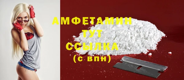 дмт Краснослободск