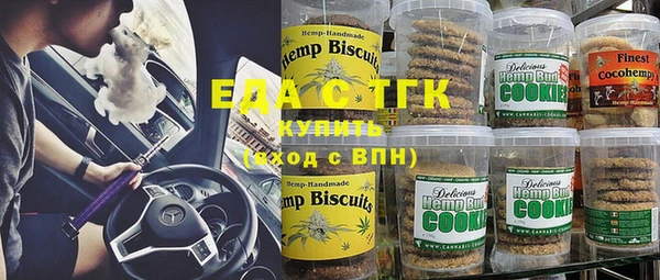дмт Краснослободск