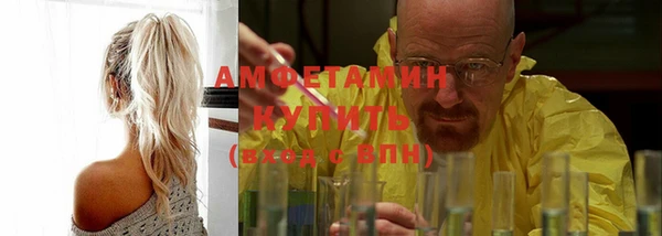 дмт Краснослободск