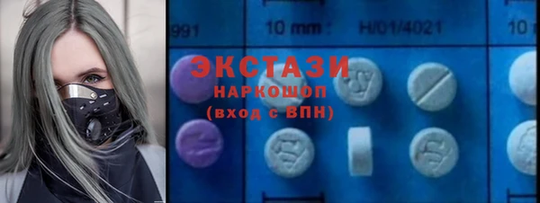 дмт Краснослободск