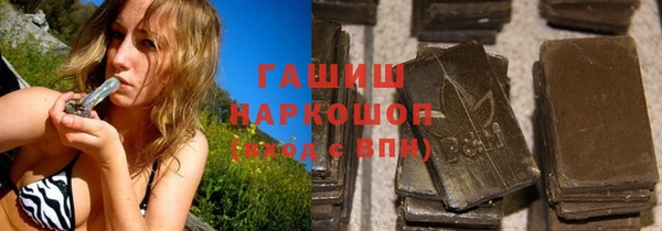 дмт Краснослободск