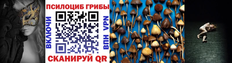 Псилоцибиновые грибы мицелий Купить закладки Сегежа